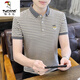 Holzspecker (Tucano) Ice Seide Kurzärärmelte T-Shirt Herren Sommer 2025 Neu gestreiftes Polo-Hemd T-Shirt Trendy Herren Casual Top Y6626 Khaki M.