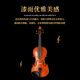 雅马哈（YAMAHA）小提琴V3SKA/V7SG儿童初学考级演奏级手工实木家用提琴 V3SKA-4/4手工小提琴+全套配件