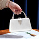 Sephoron Fashion Dinner Dress Hand-held Small Bag Feminine 2024 New Banquet Clutch Celebrity Handbag for Mobile Phone Champagne Color