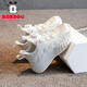 
Babudou children's shoes children's white shoes 2025 spring new mesh breathable girls casual shoes old soft sole boys sports shoes Pearl white 13547 (double net) 34 inner length 22.0cm