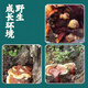 Yuan Clan Pure Wild Ganoderma lucidum, Tibet Echte Trockenwaren, Linzhi Red Zirkon, goldene Rand nicht-Sporen-Puderscheiben-Geschenkbox, 500 g Ganoderma lucidum Geschenkbox (500 g)