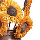 Aesthetic Hacker Sunflower Dried Flower Bouquet Dried Flower Real Flower Decoration Everlasting Flower Living Room Natural Sunflower Simulation Flower Floor Golden Single Real Flower Rod Length 50-70 cm