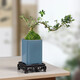 Yuxuantang rétro ge kiln fleur pot céramique argile violette petite feuille rouge nanmu papillon orchidée végétale verte salon intérieur en pot pott-bambou pot