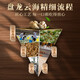 [Recommandé par le directeur du magasin] Panlong Yunhai Panax Notoginseng Powder 250G Yunnan Wenshan Panax Noto Spened Powdered avec minuscule cuillère et tonique cadeau.