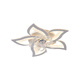 YUNQIGE Ventilateur de plafond personnalisé Light Chadow Smart Eye Protection Home Dining Dining Chambre Master Shaking Head Plafond Van de ventilateur peut être changé