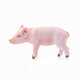 
Comele German Sylves Schleich simulated poultry duck animal model male duck female duck goat domestic Sile standing pig standing pig 13783