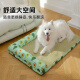 Docote (D-cat) summer kennel dog mat mat, universal cat mat, cold den sleeping mat, dog mat, sleeping mattress mat model - Avocado [cool and breathable] M-medium size - 61*45 recommended 20Jin [Jin equals 0.5, within kilogram]