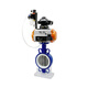 D671F-10Q Pneumatique Tetrafluorobutterfly Valve pneumatique Valve de papillons triple-claque 304 Plaque DN50 65 80 100 DN250 [Tetrafluoro Seal 304 Plaque]