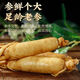 Eryabei [Boutique Changbaishan Extra großer Ginseng King] Pangdonglai Hochwertige Boutique Frisch Ginseng in Wein, Suppe und Tee Großhandel. 1 Fresh Ginseng hat ein Bruttogewicht von 7-10 Gramm. Ermäßigter Preis