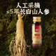 Der 5-jährige Ginseng und Wolfberry Pulp Zhongning Wolfberry + 5-jährige ChangbaumgaSeng-Lösung 300 ml für Eltern