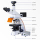 
AOSVI (AOSVI) fluorescent biomicroscope high-definition and high-power professional-grade scientific research and computer guide report cell pathology research L208F-3M830F (4-band + fluorescence camera)