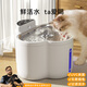 Hipidog neuer Katzenwasserspender Konstante Temperatur Joghurtmaschine Katzenwasser trinken Haustier Automatisch Heizung Wasserspender Unklugge Wasserspender Miyabai-5200mah (Basic Model) Universal Dog und Katze