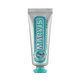 MARVIS玛尔仕牙膏便携装25ml 意大利玛尔斯茴香薄荷牙膏去牙渍 清新口气