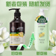 Dicai Ginger Shampoo Herbal Old Ginger Juice Refreshing Fluffy Anti-dandruff Moisturizing Soft Men and Women Shampoo 750ml