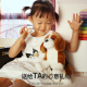National Geographic Children's Day Anniversaire Cadeaux National Geographic Beagle Dog Doll Doll Animal Toys Toys Boy Girl Girl Friends
