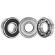 6200 roulements allemand BKE Import à grande vitesse 6201 6202 6203 6204 6205 6206 ZZ 6206-RS / RZ / DDU COUVERTURE DE GLUE (30 * 62 * 16
