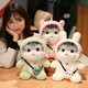 Yunya cute cat doll sleeps and cuddles on the bed, kitten simulation gift, transforms into a cat, girlfriend friend birthday gift, transforms into a dinosaur cat - 30 cm