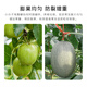 Dougalitol calcium magnesium boron zinc iron foliar fertilizer trace elements water-soluble fertilizer anti-cracking weight gain fruit trees and vegetables fertilization 1 kg * 1 bottle