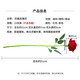 东之天地 仿真玫瑰花婚庆装饰情人节生日礼物手捧花客厅餐桌摆件送女友 【粉色】仿真玫瑰花【10枝装】