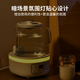 Liven Health Pot All-Glass Thermostatic Pot 0 Glue Kettle 1.2L Soft Sound Office Insulation Tea All-in-One Flower Teapot Baby Milk Kettle SH-D1232