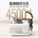 派兮宠物智能无线饮水机恒温抑菌猫咪饮水机不插电猫狗通用