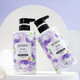 QCHZOC Sweet Flower Fragance Planta Extracto que aumenta el aroma suave y duradero El champú nutritivo fortalece el champú hidrurante de la raíz del cabello fuerte