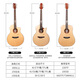 Trumon Truman Tsmins Guitarra infantil 3.0 Nuevo generación de Vancouver Folk Guitar Travel Full Single Guitar Tsmini18 Spruce Rose Wood Modelo de sonido de 36 pulgadas de 36 pulgadas