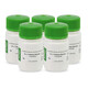 BioSharp Life Sciences Biofroxx 1483GR005 D-Trehalosa D-Trehalosa 5G/Botella*10 botellas