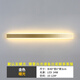 Yilin simple modern minimalist long wall lamp living room bedroom bedside lamp Nordic entrance hall light stair lamp gold 80cm + warm light