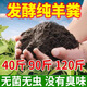 40 Jin Jin is equal to 0.5 kg. Pure sheep manure organic fertilizer for growing vegetables and flowers. Universal fermented chicken manure orchard nutrient soil. 19.9 Jin Jin is equal to 0.5 kg. No root burning, no insects and no smell. Inner Mongolia fermented pure sheep manure. 99 items left in the event.