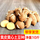 Wangyuanxing potato seeds with buds, high yield, yellow skin, yellow heart potato seeds, Shandong potato seeds, potato seeds, Dutch potato seeds 2500g