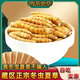 [Cordyceps authentiques] GRAND GRASSE BROCKET Cordyceps authentiques Authentiques Herbe Cordyceps Grass Brokés Cordyceps Grass Broken Fed Tonic pour l'auto-fourrure Cordyceps Tibet Big Broken Grass Cordyceps 20 grammes obtiennent 1 gramme [Total 21 grammes]