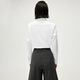 HLA Heilan long-sleeved shirt spring 25 slim slightly elastic solid color lapel formal shirt women's HNCAW1J302A