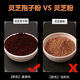 Eryabei Ganoderma lucidum Sporenpulver, Toudao Breakwall Ganoderma lucidum Pulver, Sporenpulver, Ganoderma lucidum sporenpulver [250 g]