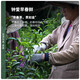Chen Yifan gefrorener Oolong-Tee Strong Geschmack Taiwan High Mountain Tee Taiwanese Oolong Papierverpackung 300 g Geschenk zum Selbstverbrauch