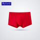 
BYFORD (BYFORD) Men's Boxer Underwear Comfortable EUC Cotton Stretch Boxer Mid-waist Men's Pants Shorts Red Gift MW718/719 MW719 Light Gray 1 M