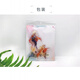 Animation game peripheral citrus scent citrus acrylic stand decorative ornaments creative gift accessories citrus scent stand-06 double-sided laminating-about 16cm