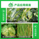BASF dry transport 30% zinc thiazole rice cucumber citrus fruit tree canker bacterial angular leaf spot fungicide 100ml