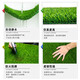 Elegant ground decoration lawn simulation artificial plastic fake turf artificial carpet balcony outdoor kindergarten green bedding 2.0 cm spring grass encrypted grass