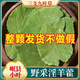 
Genuine wild Gansu epimedium Chinese medicinal materials, small leaf epimedium leaves, soaked in wine, tea, water and drink nourishing nutrition Gansu wild small leaf epimedium 500g