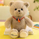 Weltston Teddy Bear Puppe Plüsch Spielzeugpuppe Kissen Kinder Geburtstagsgeschenke Mädchen Mädchen Lucky Bär