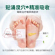 Xiao's Tang Hua Tang, you will get ten if you fake it. Xiao's Hua Tang Tang foot acupoint magnetic therapy patch is available in large pharmacies in Tokyo. 3 boxes of Xiao's Hua Tang.