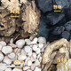【闽南四物汤包】滋补炖鸡鸭四物煲汤四物药材包炖汤调理益气25克 四物炖汤包【20包】专供装 优质甲级品【25克/包】带枸杞