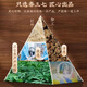 Peking Tongrentang Panax Notoginseng Pulver National Medizin Medizinische Heilmaterialien Authentische Panax Notoging Pulver Chinesische Heilmaterialien 20 Köpfe Yunnan Wenshan Superfine rein