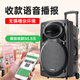 Xinke Z12 Square Dance Audio High Power Subwoofer Mobile Outdoor Karaoke Bluetooth Trolley Microphone Speaker Amplifier Wireless Microphone Stall Speaker 12-inch Dual Microphone