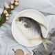 
Guangdong Sea Tongchang Golden Pomfret Zhanjiang Specialty Jinchang Fish Light-drying One Night Garden Golden Pomfret Jinchang Fish Light-drying Sea Flavoring Three Golden Pomfrets 1050g
