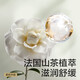 babycare山茶花纸尿裤新生儿婴儿花苞裤尿不湿迷你装bbc轻薄透气夏日尿布 纸尿裤-NB码 1包 34片 【5KG以下】