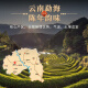 Hongyun Fresh Pu'er Té Especial 15 años Yunnan Antiguo Tree Pu'er Té maduro Té negro suelto envejecido Pu'er Té hojas de té 500 g Pack