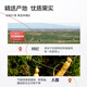 Ning'anbao Ginseng et Wolfberry Powder 1800ml Changbaishan Ginseng Juice Ningxia Red Wolfberry Juice