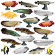 Spielzeugfisch erkennt die gefälschte Fischsimulation von Kindern Ozeanwasser Fischmodell Tierlachs Mann Thunfisch gesalzene Fischqualle M-1151 Krokodil El
